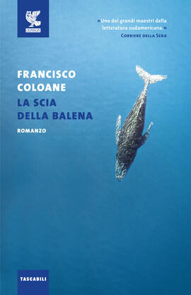 la scia delle balene